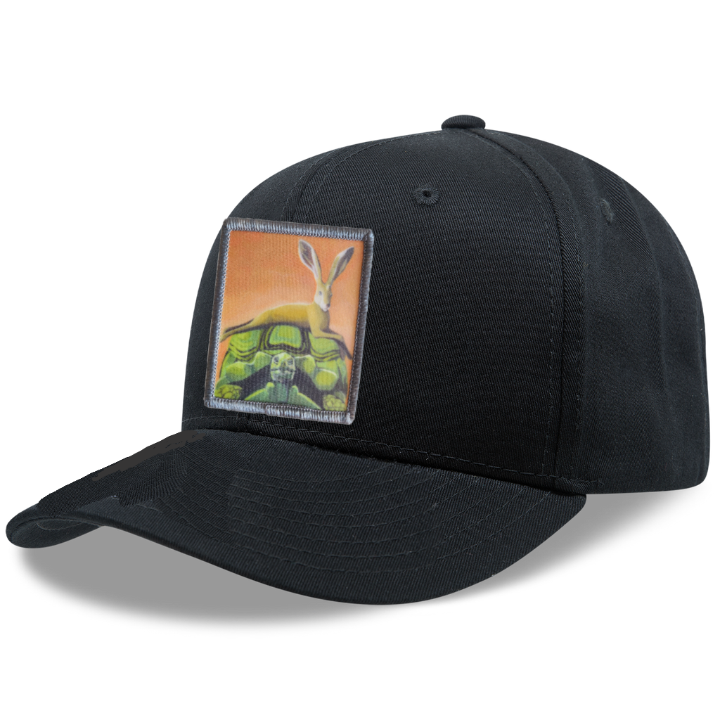 6 Panel Base Ball Cap Hats FlynHats The Tortoise By A Hare