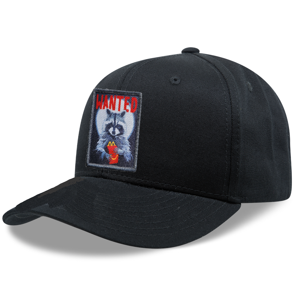 6 Panel Base Ball Cap Hats FlynHats WANTED