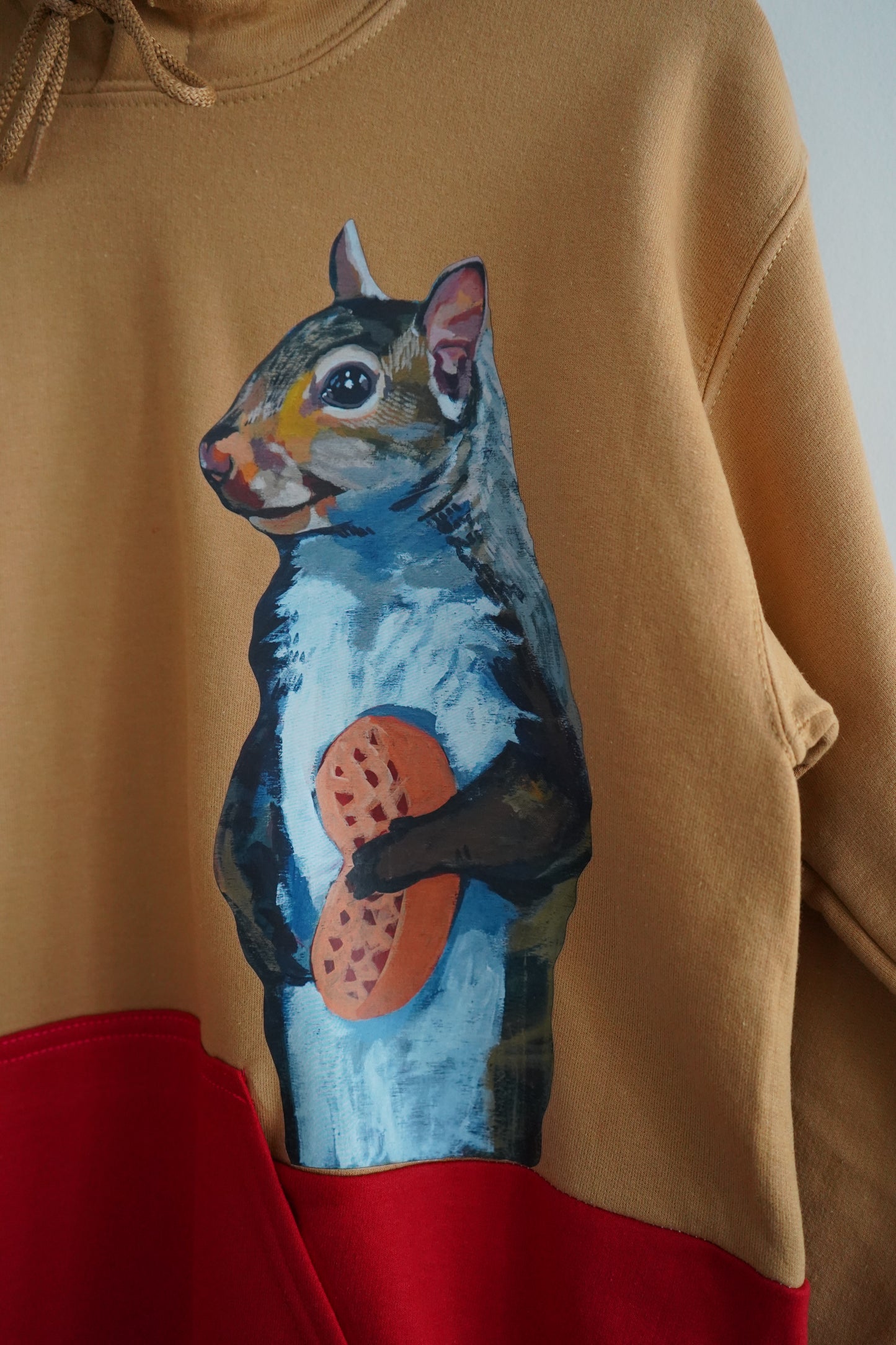 Peanut Squirrel Colorblock Hoodie Sweatshirt FlynHats