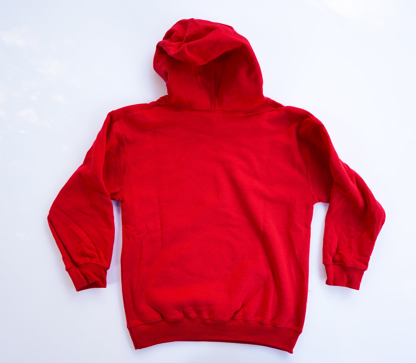 Peanut Squirrel Red Youth Sweatshirt Hoodie FlynHats