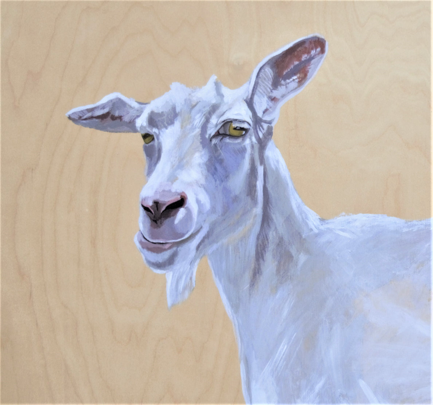The Discoverer Mini Print / Goat Card postcards Flyn_Costello_Maine