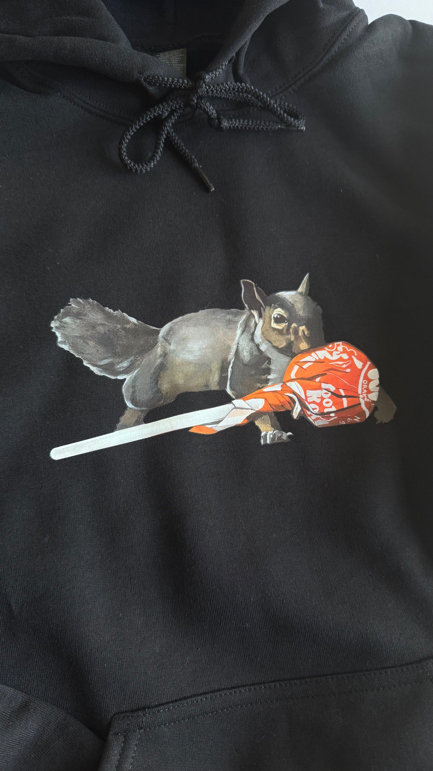 Secret Stash Adult Black Sweatshirt Hoodie FlynHats