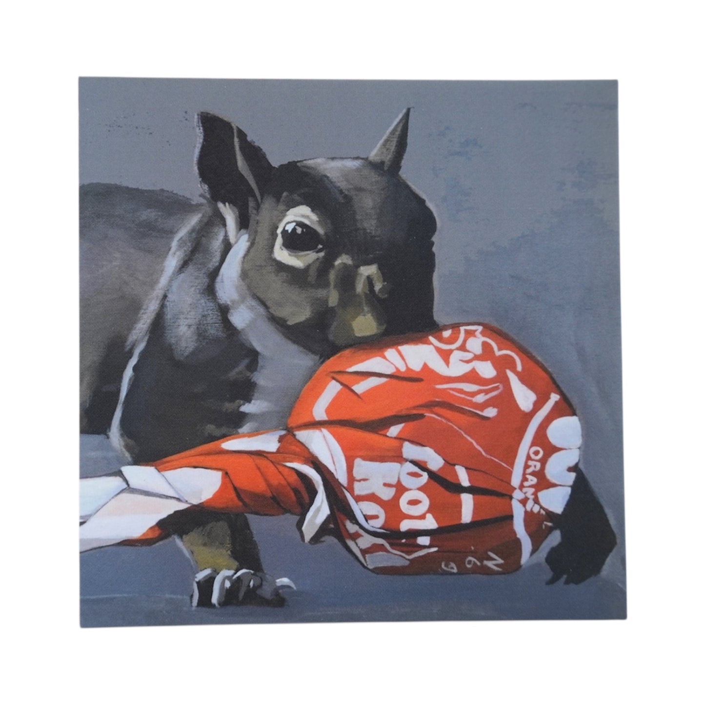 Secret Stash Squirrel Mini Print Card postcards FlynHats