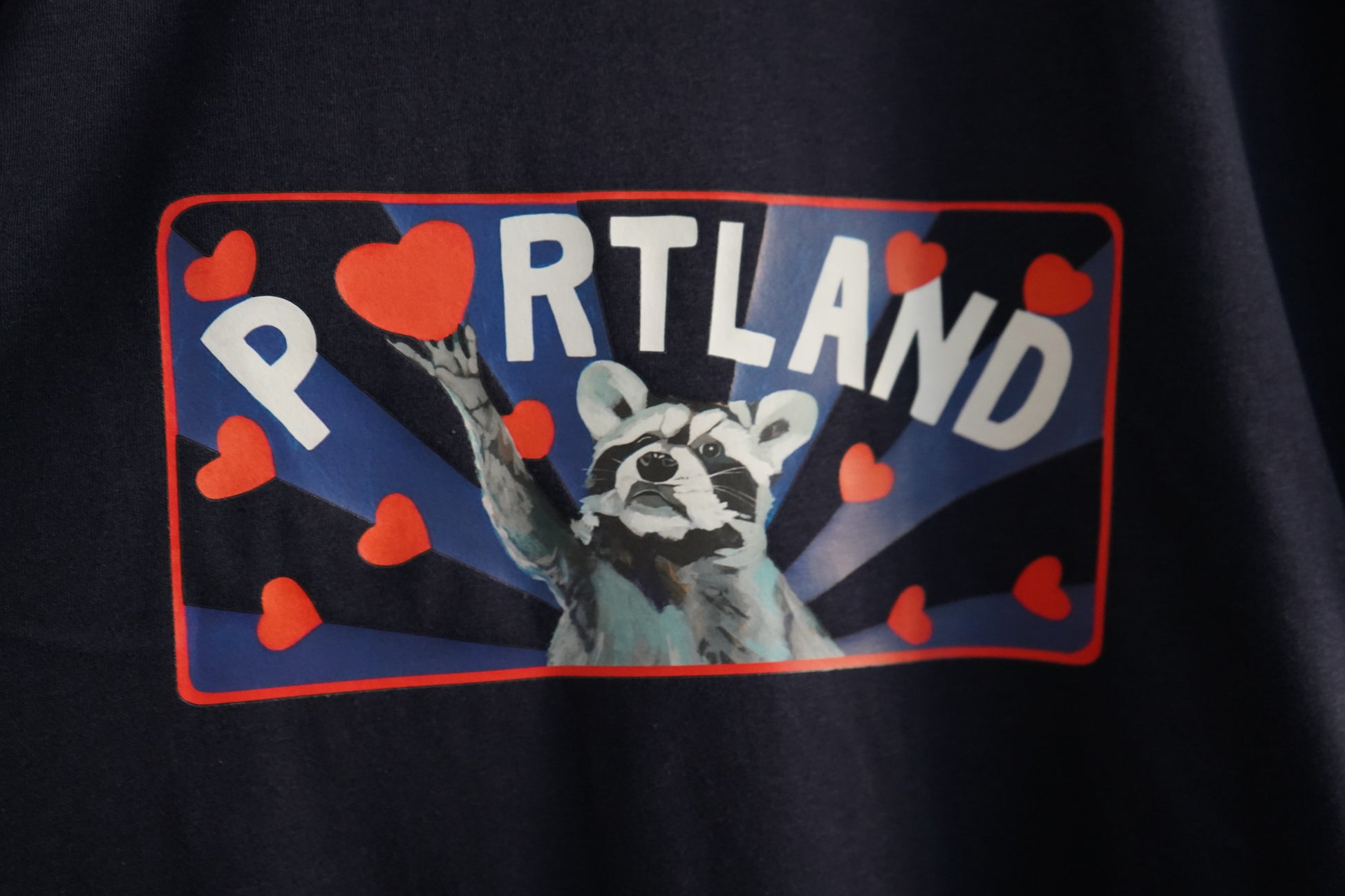 Portland Raccoon Colorblock t-shirt FlynHats