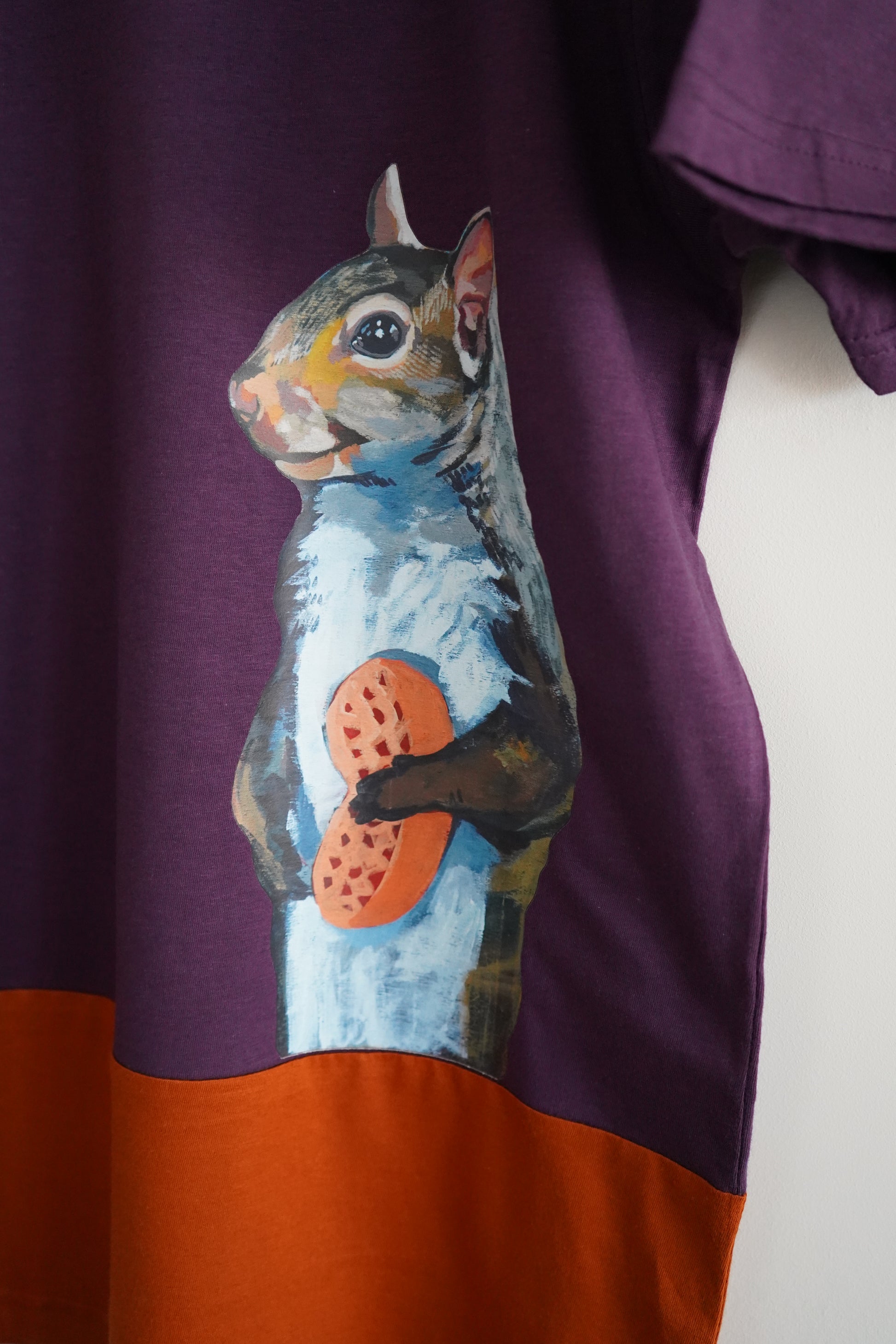 Peanut Squirrel Colorblock t-shirt FlynHats