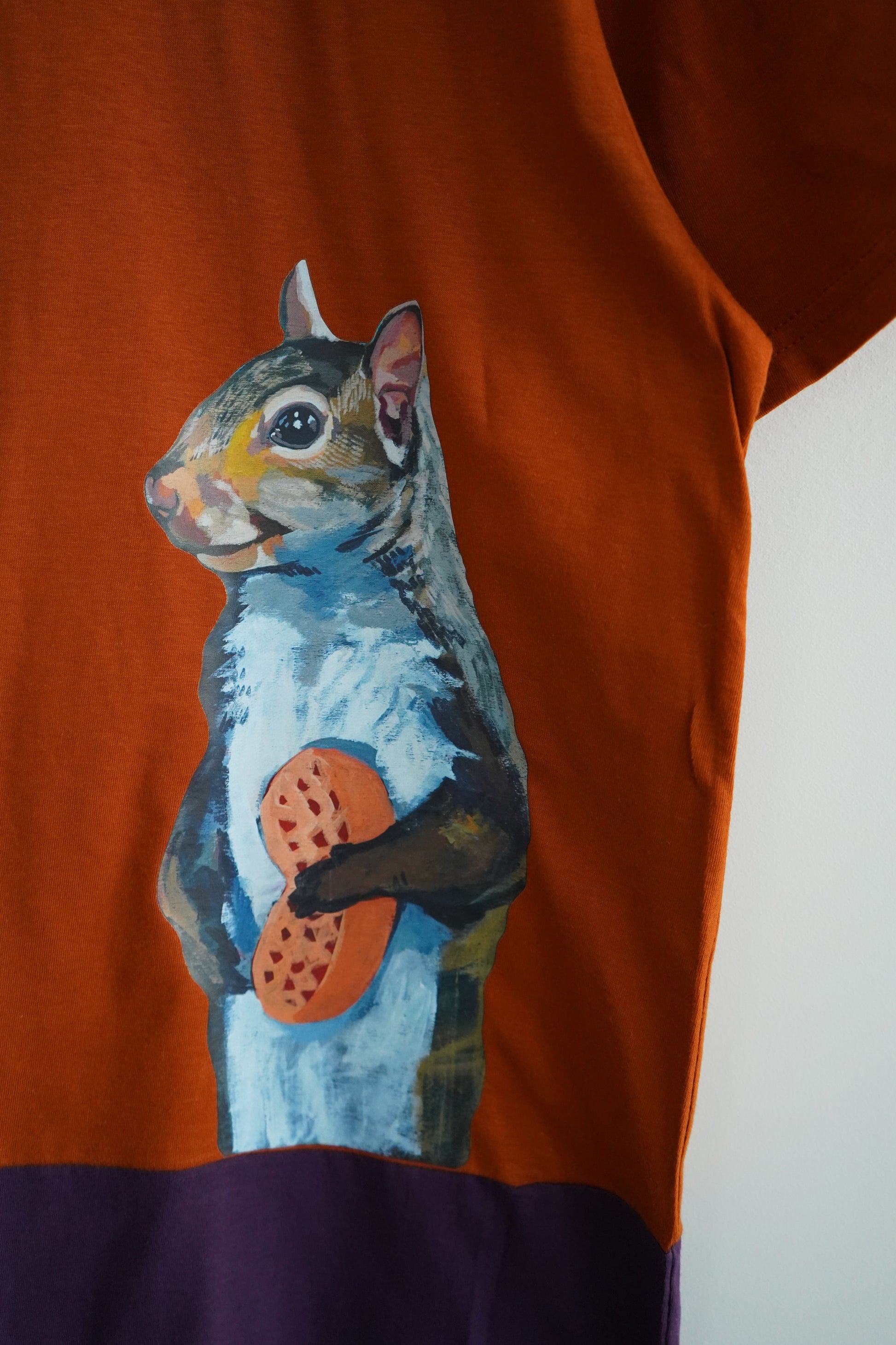 Peanut Squirrel Colorblock t-shirt FlynHats