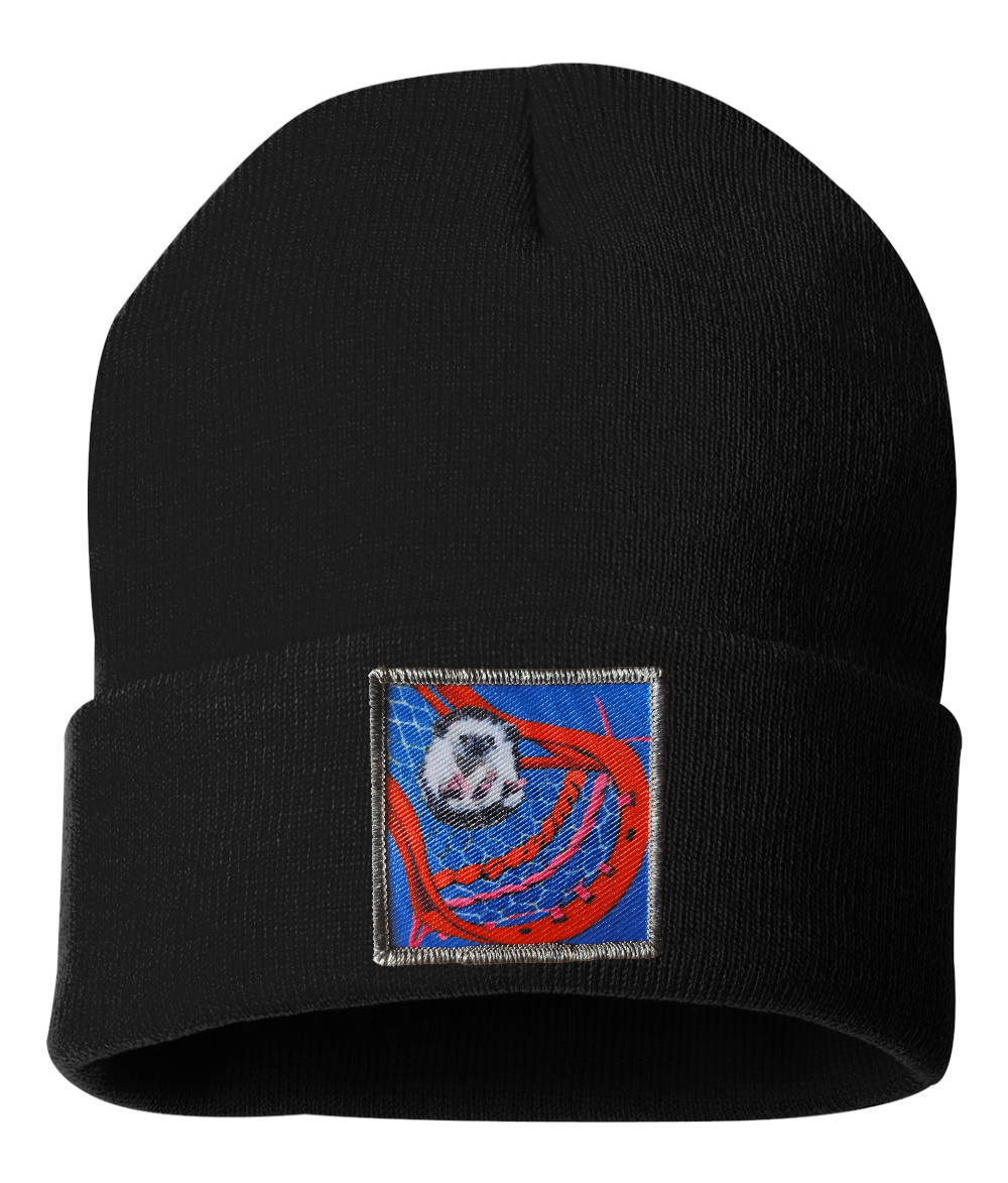 WS Ball Hog Beanie Hats FlynHats Black