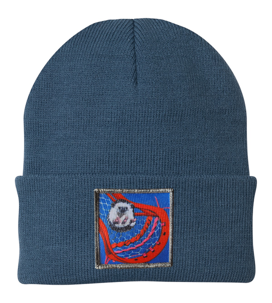 WS Ball Hog Beanie Hats FlynHats Dusty Blue
