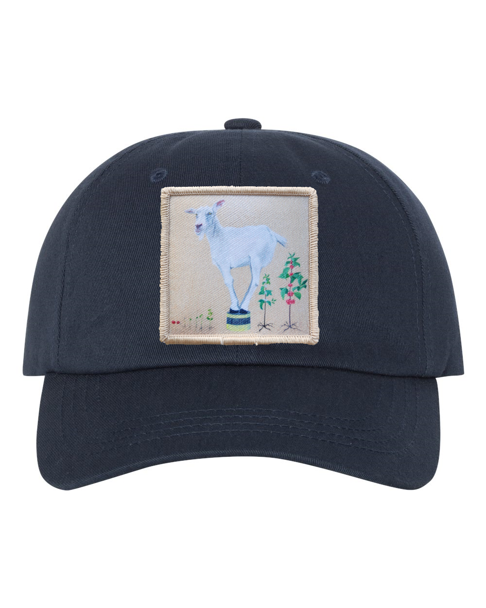 Eco-Washed Dad Hat Hats FlynHats Discoverer