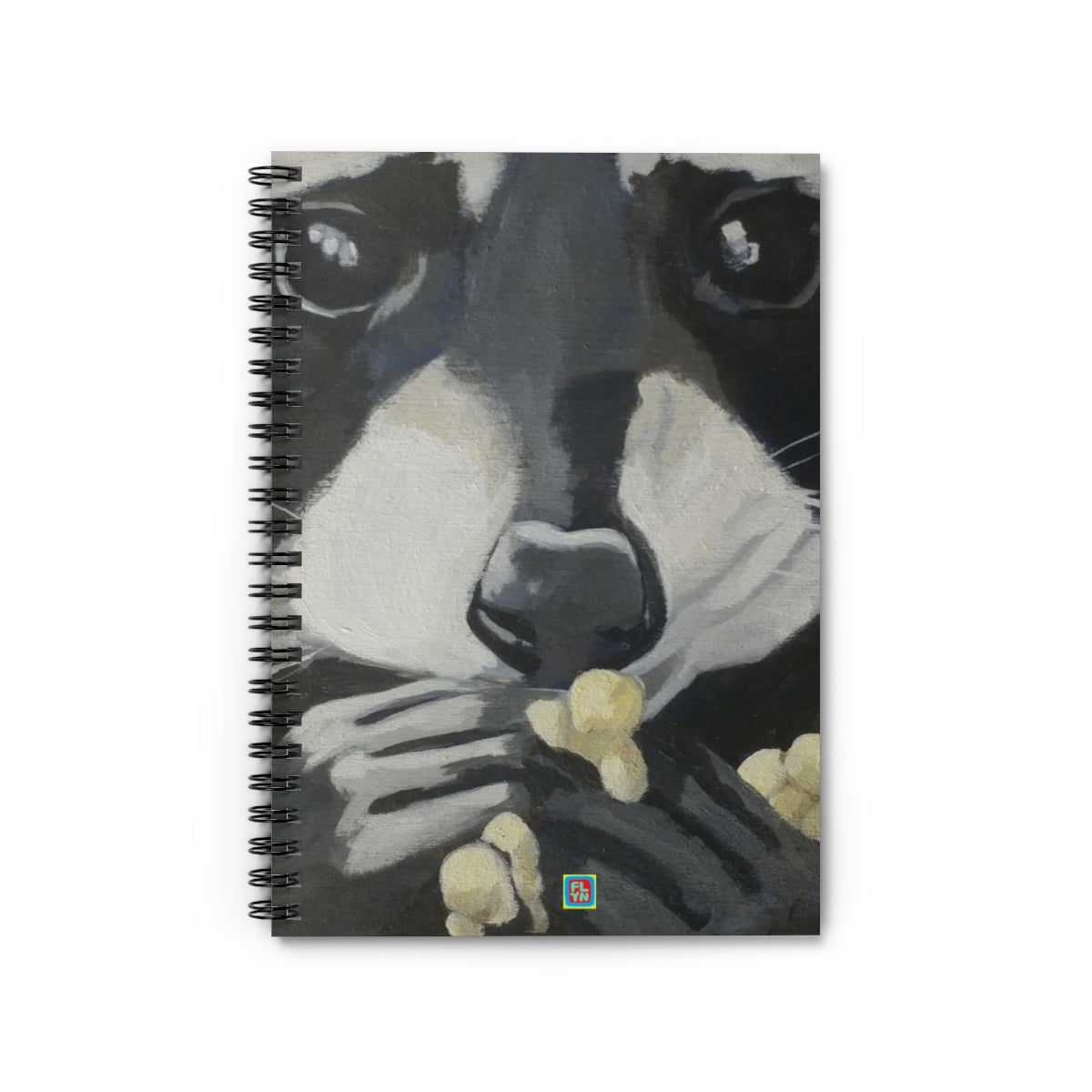 Raccoon Pop Notebook FlynHats