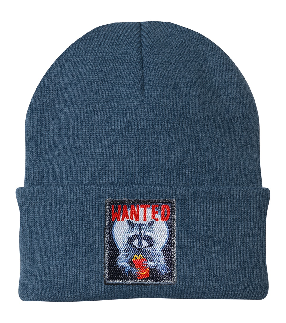 WANTED Beanie Hats Flyn_Costello_Art Dusty Blue