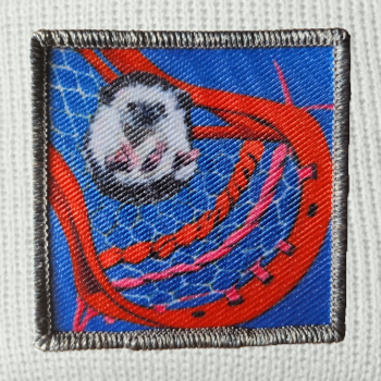 WS Ball Hog Beanie Hats FlynHats