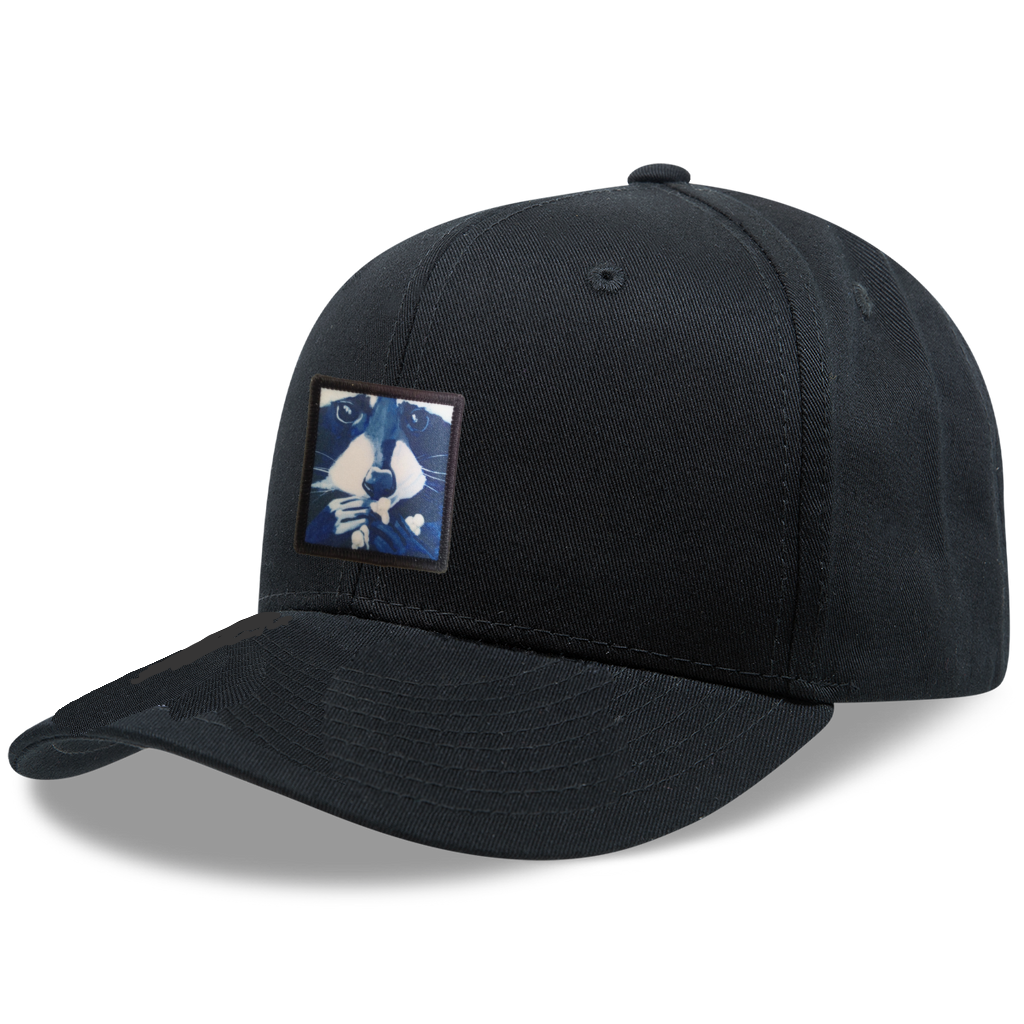 6 Panel Base Ball Cap Hats FlynHats Raccoon Pop