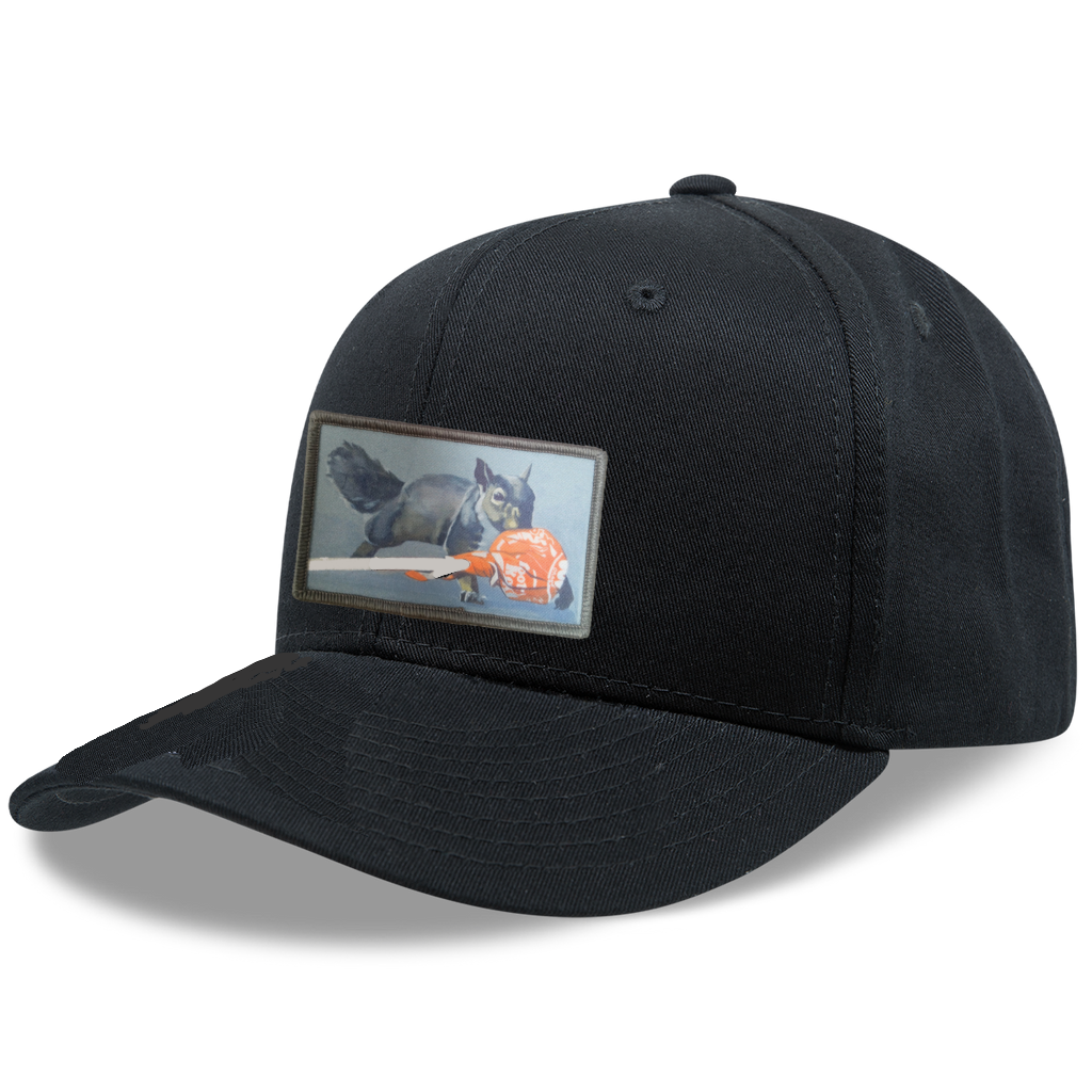 6 Panel Base Ball Cap Hats FlynHats Secret Stash
