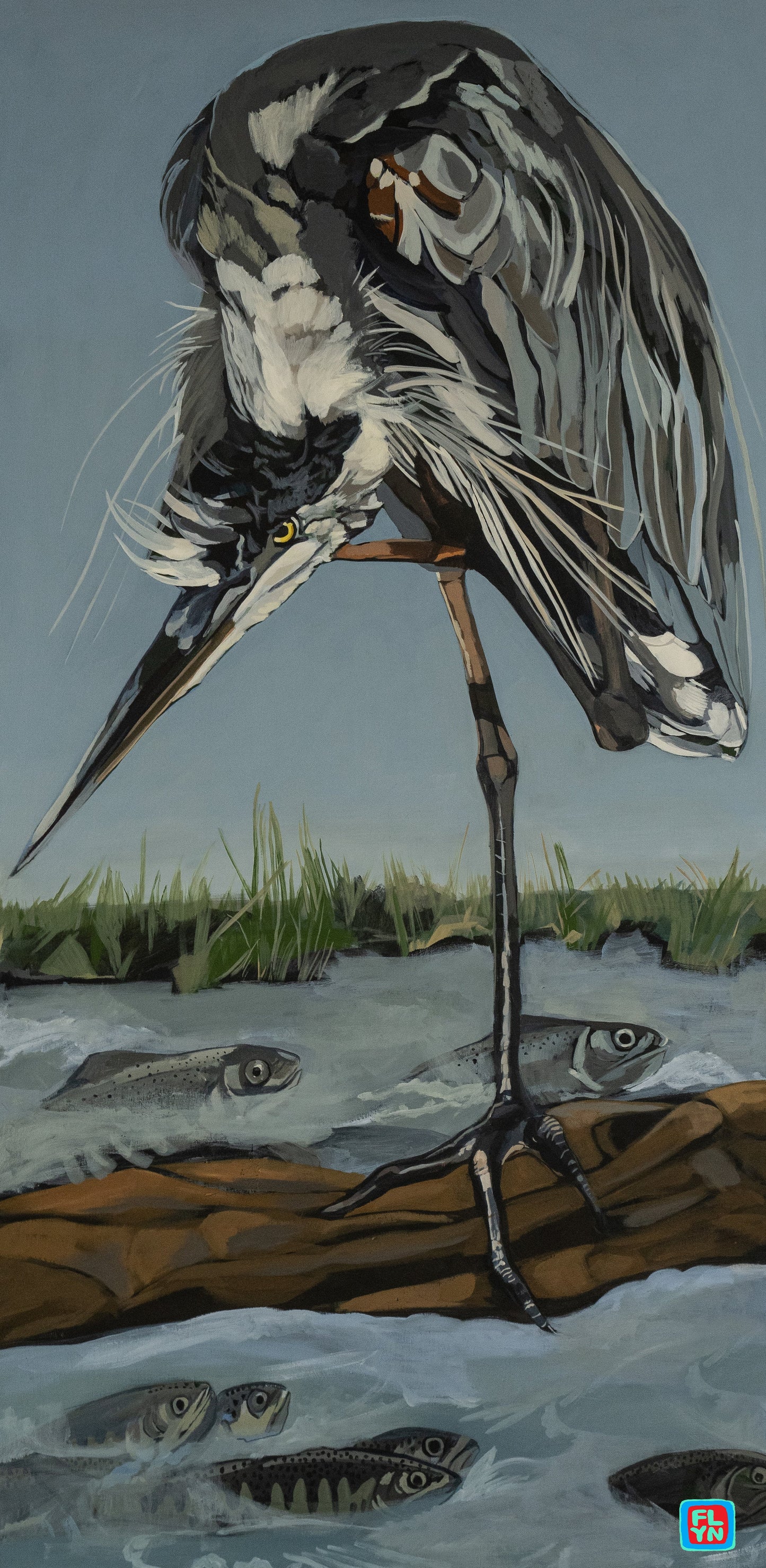 Great Blue Heron Print Prints FlynHats