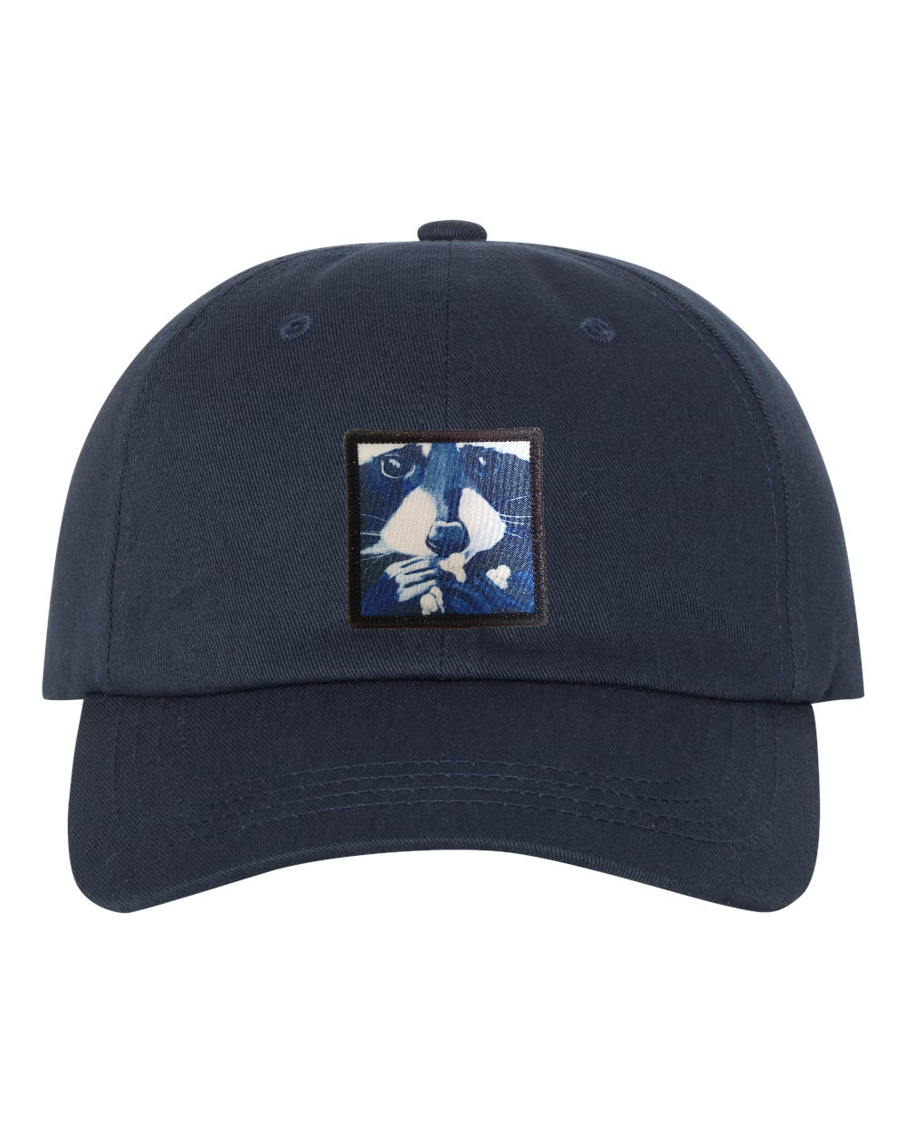 Eco-Washed Dad Hat Hats FlynHats Raccoon Pop