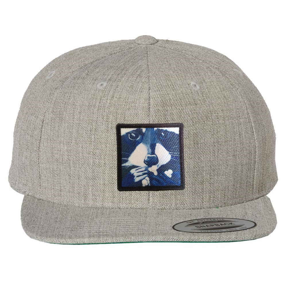 Heather Grey Snapback Hats Flyn Costello Raccoon Pop