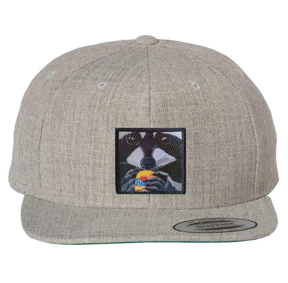 Heather Grey Snapback Hats Flyn Costello The Snack Kid  