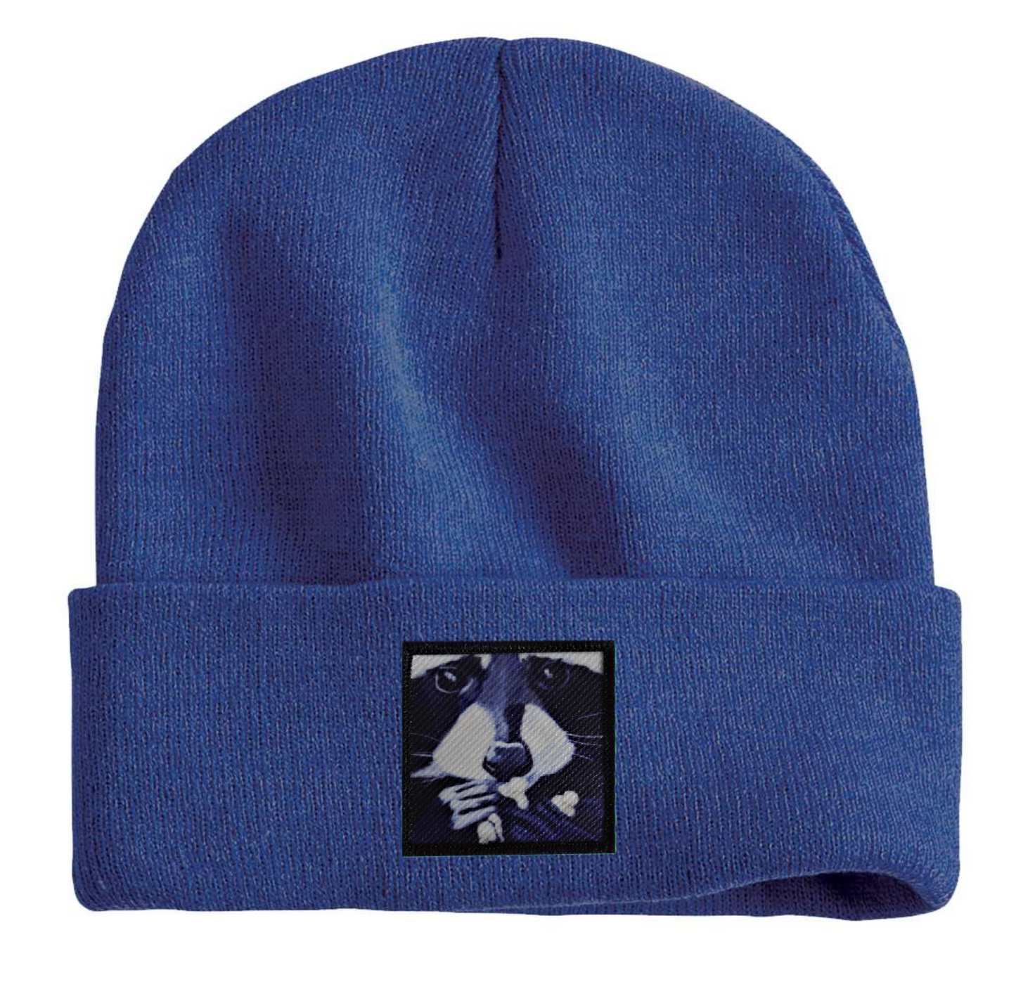 Raccoon Pop Beanie Hats Flyn Costello Heather Blue  