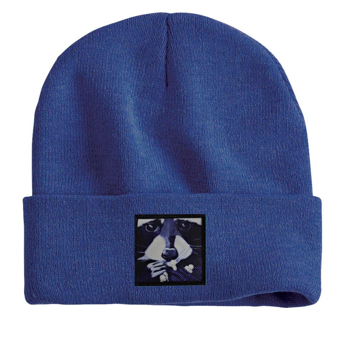 Raccoon Pop Beanie Hats Flyn Costello Heather Blue