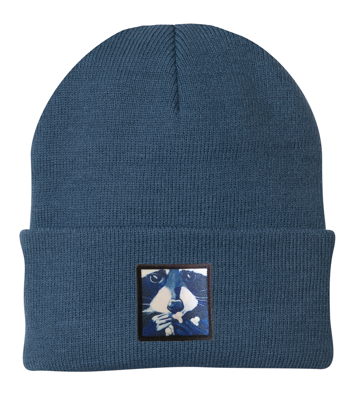 Raccoon Pop Beanie Hats Flyn Costello Dusty Blue  