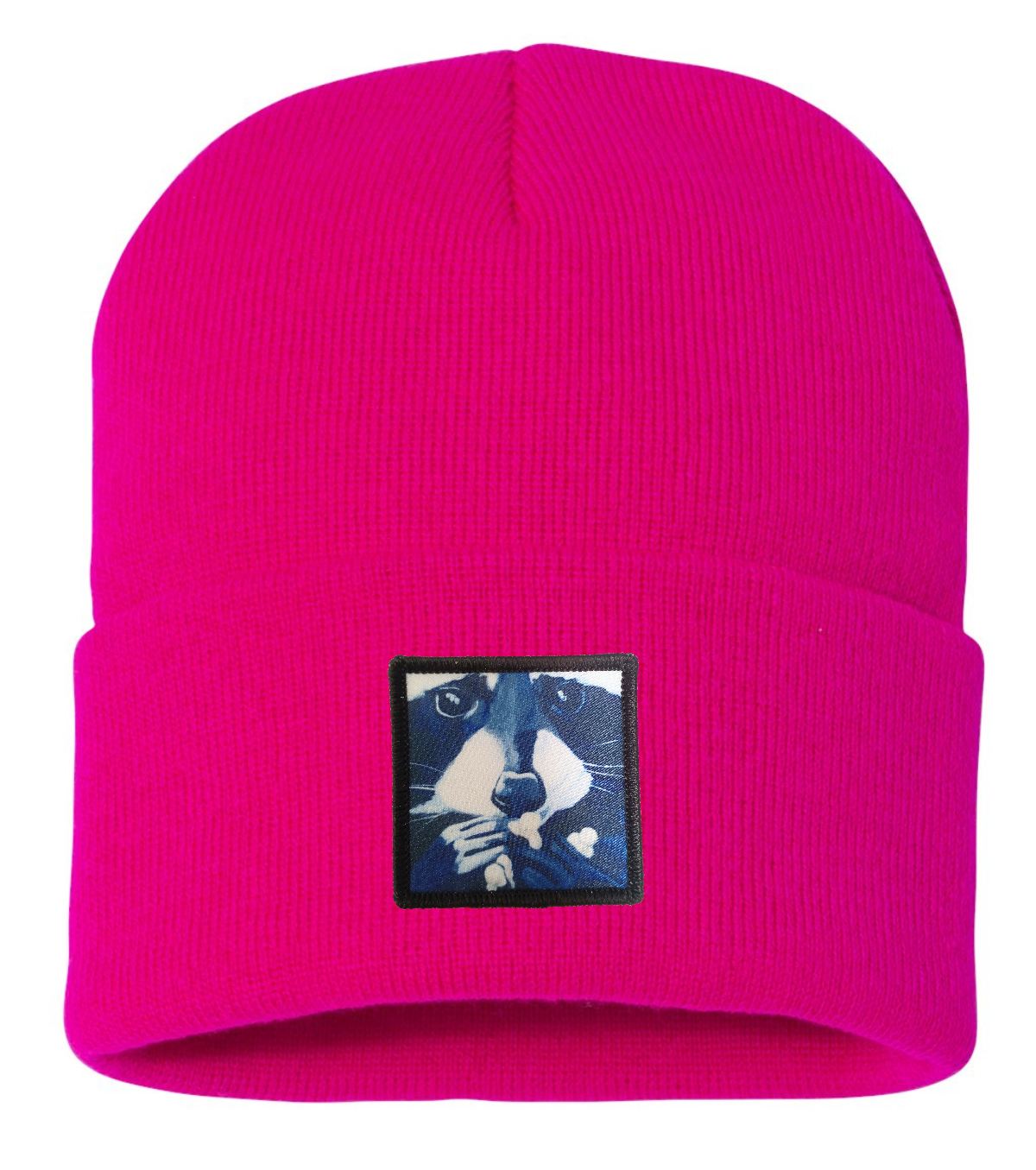 Raccoon Pop Beanie Hats Flyn Costello   