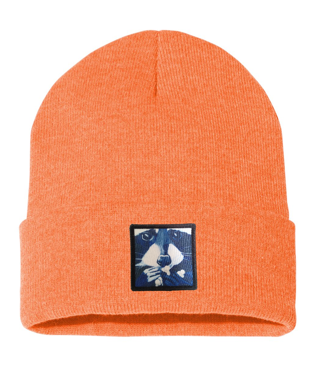 Raccoon Pop Beanie Hats Flyn Costello