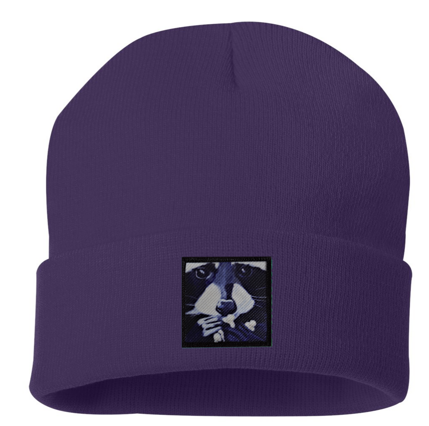 Raccoon Pop Beanie Hats Flyn Costello Purple