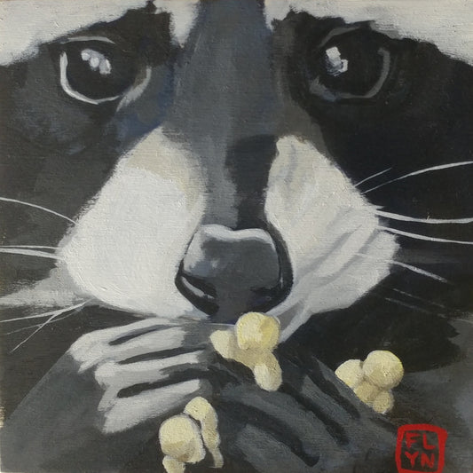 Raccoon Pop Mini Print / Card postcards Flyn_Costello_Maine