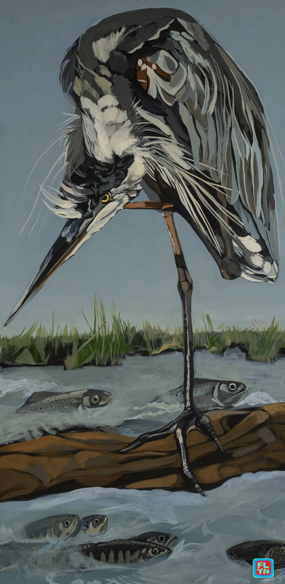 Great Blue Heron Fishin'