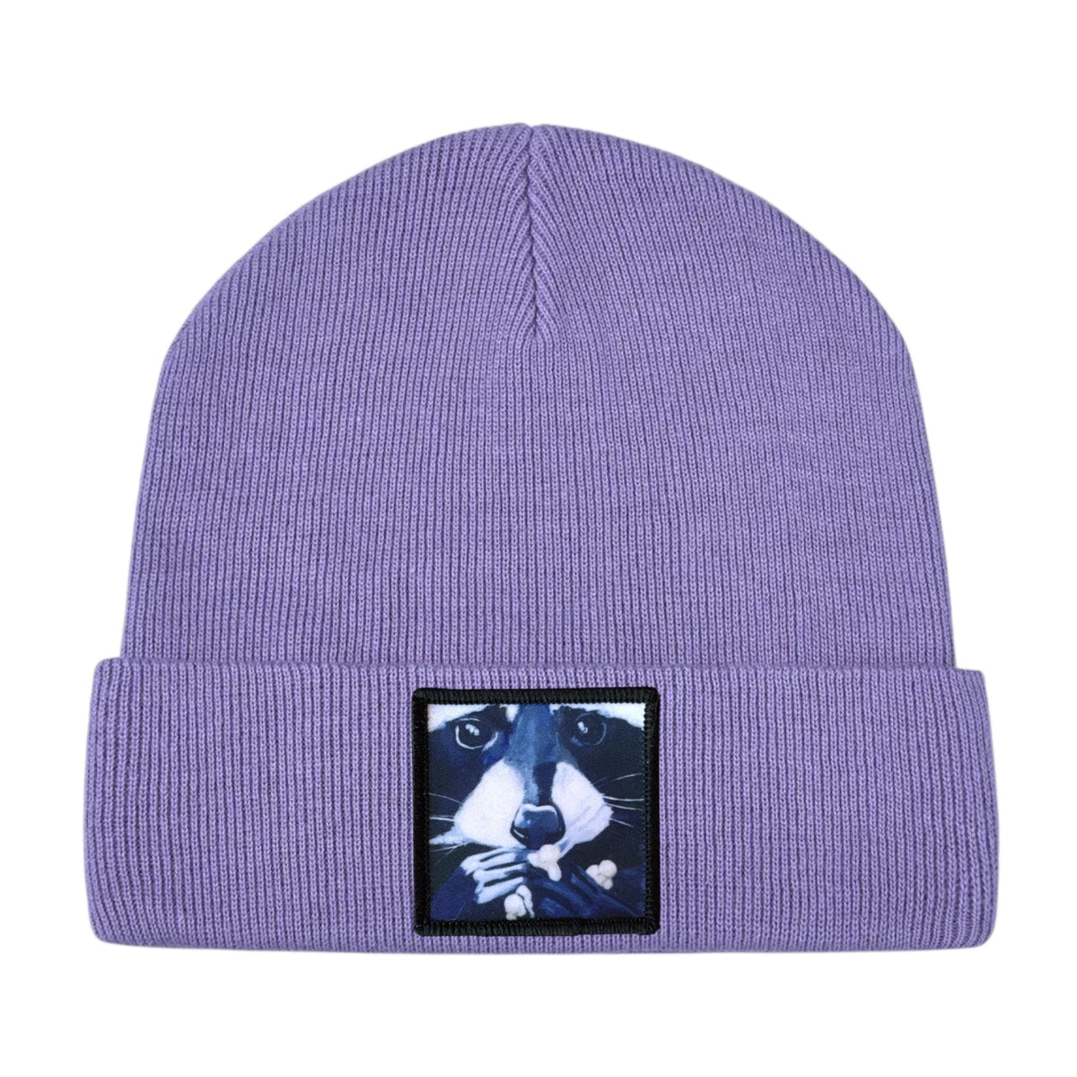 Raccoon Pop Toddler Beanie