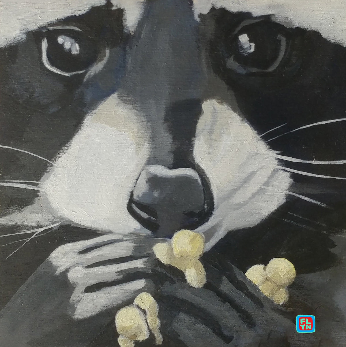 Raccoon Pop