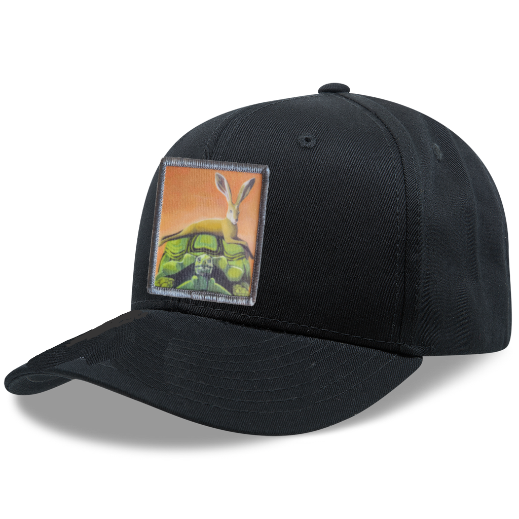 6 Panel Base Ball Cap Hats FlynHats The Tortoise By A Hare  