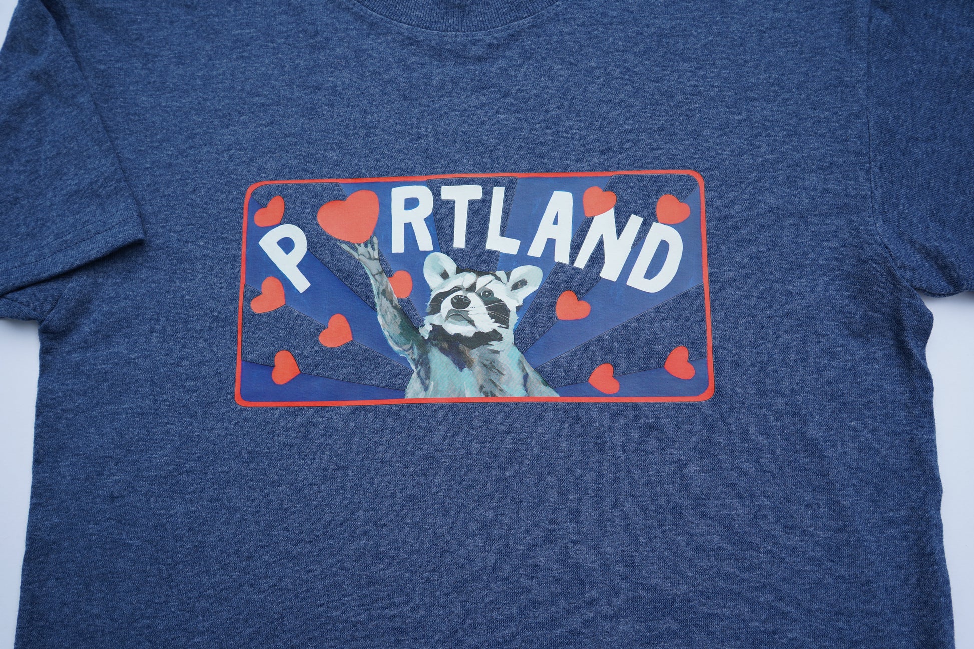 Portland Raccoon Youth Tshirt FlynHats