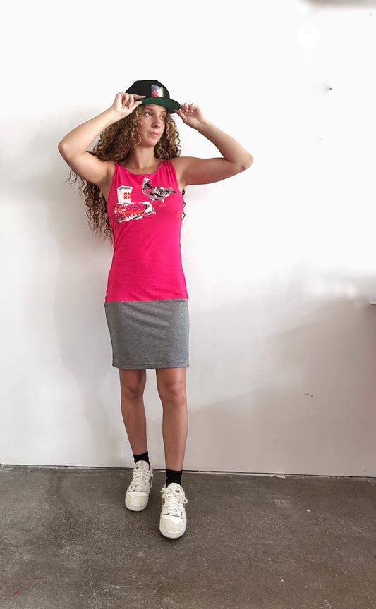 Pigeons Run on Donuts colorblock tank dress FlynHats