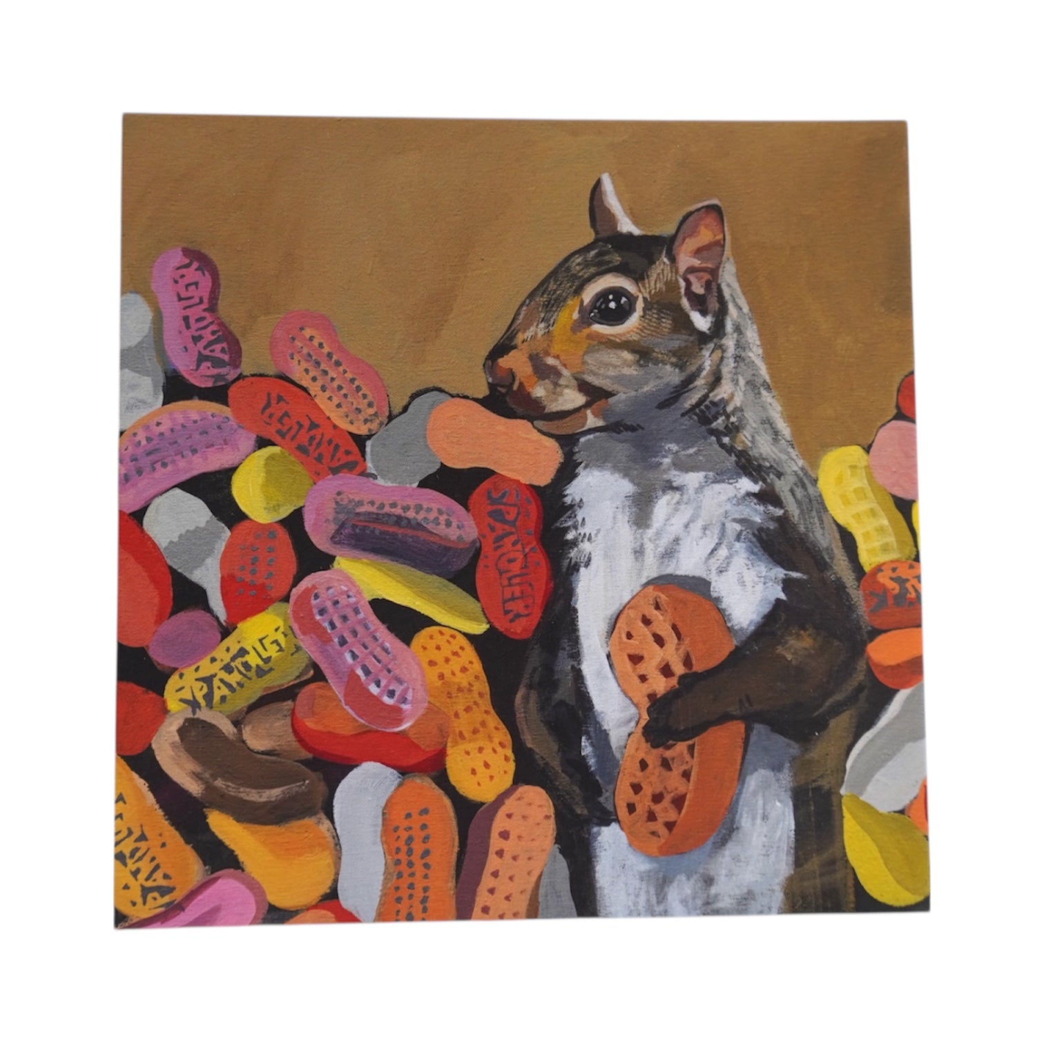 Peanut Squirrel Card postcards FlynHats