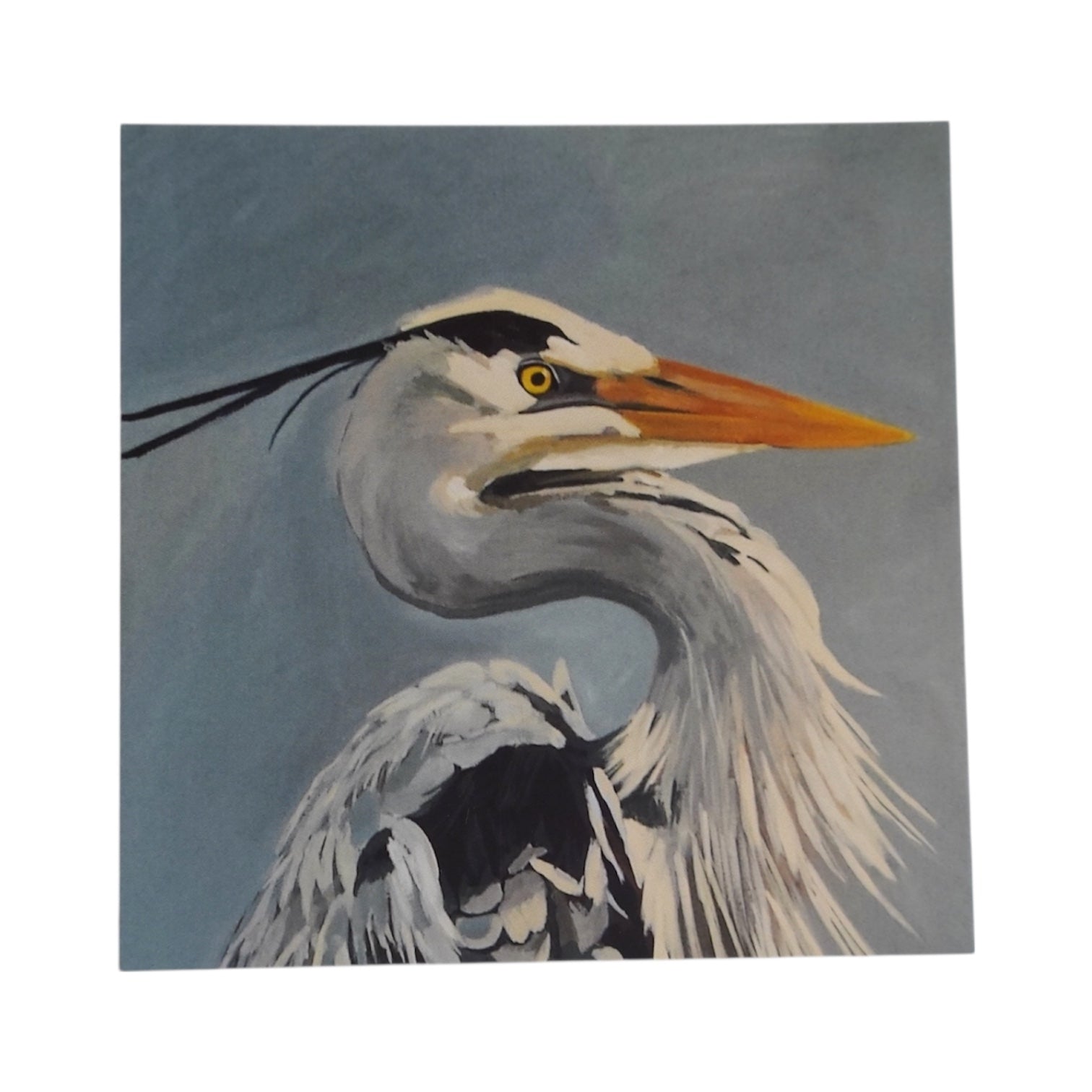 Great Blue Heron Mini Print / Card postcards Flyn Costello