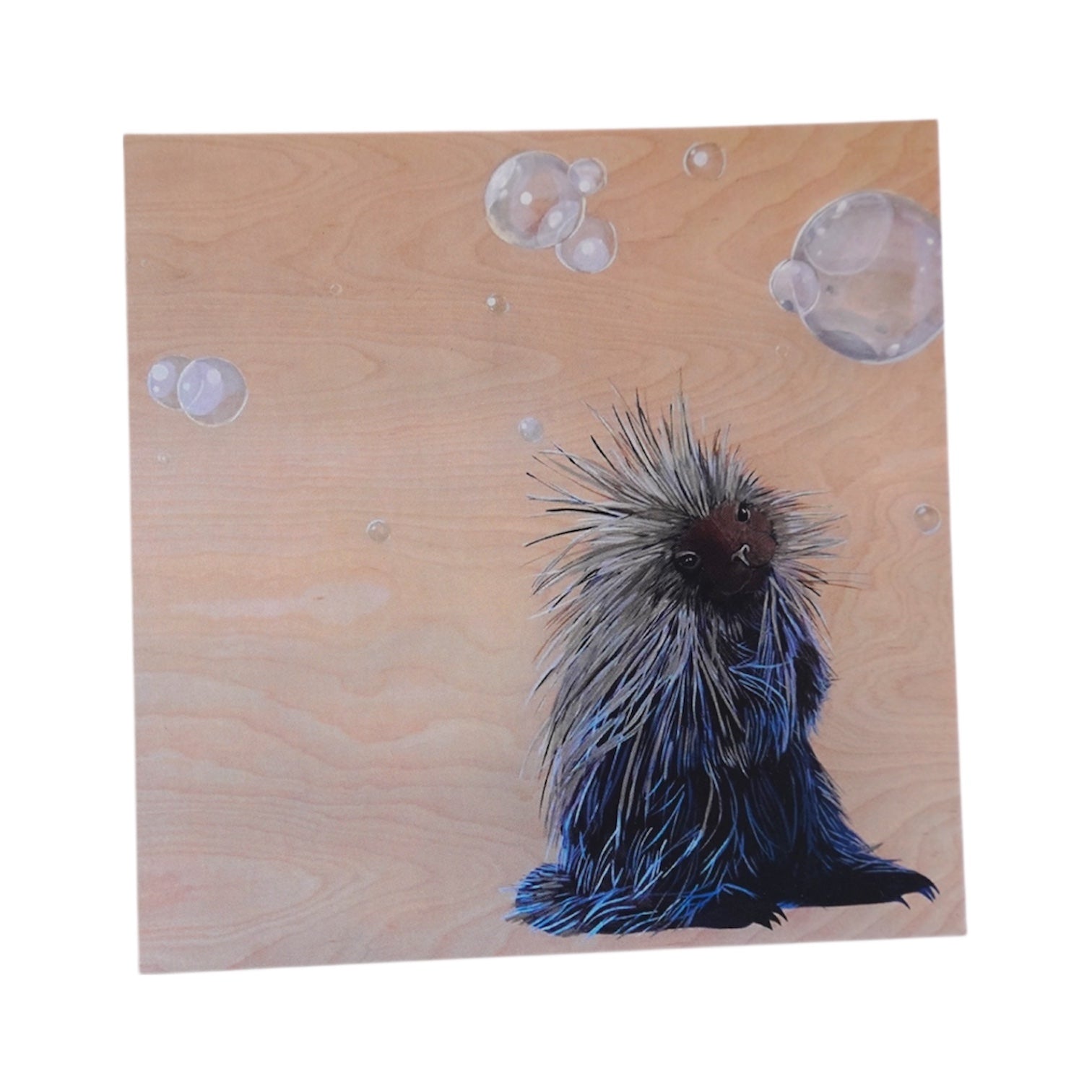 I Don't Mean To Burst Your Bubble Porcupine Mini Print / Card postcards Flyn Costello