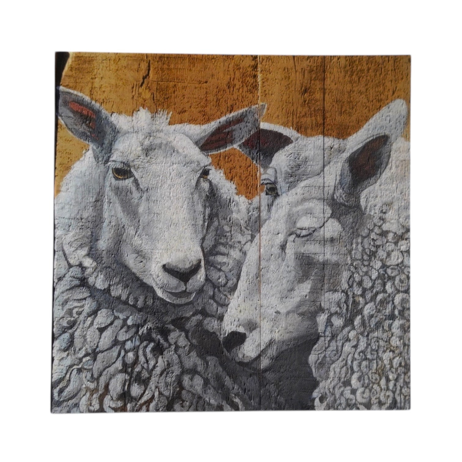 The Conversation Sheep Mini Print /Card postcards Flyn Costello