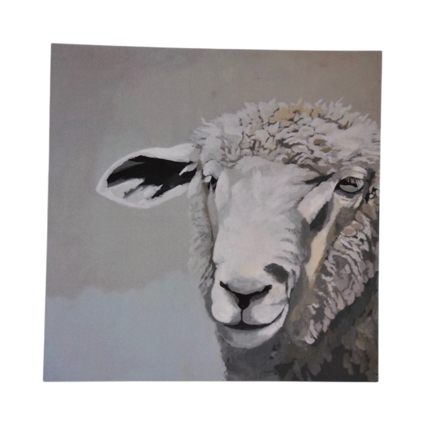 Grey Sheep Mini Print / Card postcards Flyn Costello