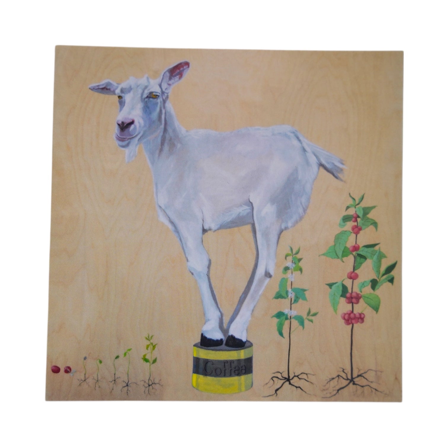 The Discoverer Mini Print / Card postcards Flyn Costello