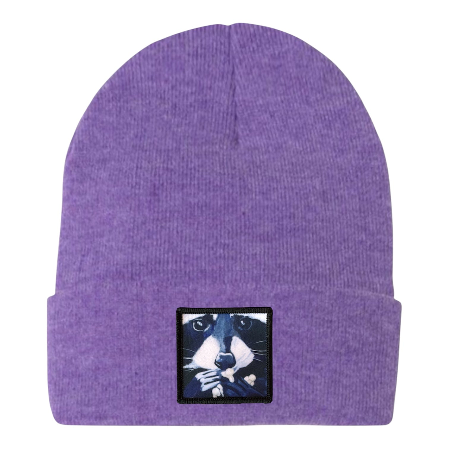 Raccoon Pop Beanie – FLYNhats