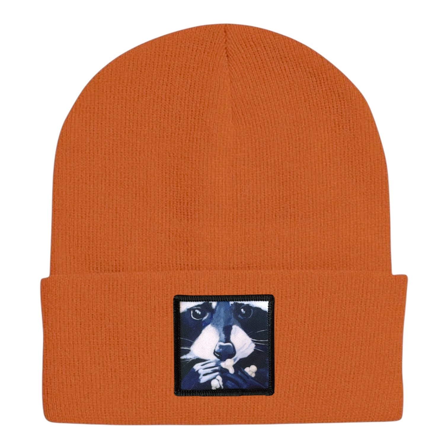 Raccoon Pop Beanie – FLYNhats