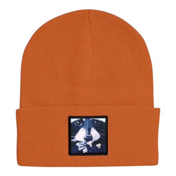 Raccoon Pop Beanie – FLYNhats