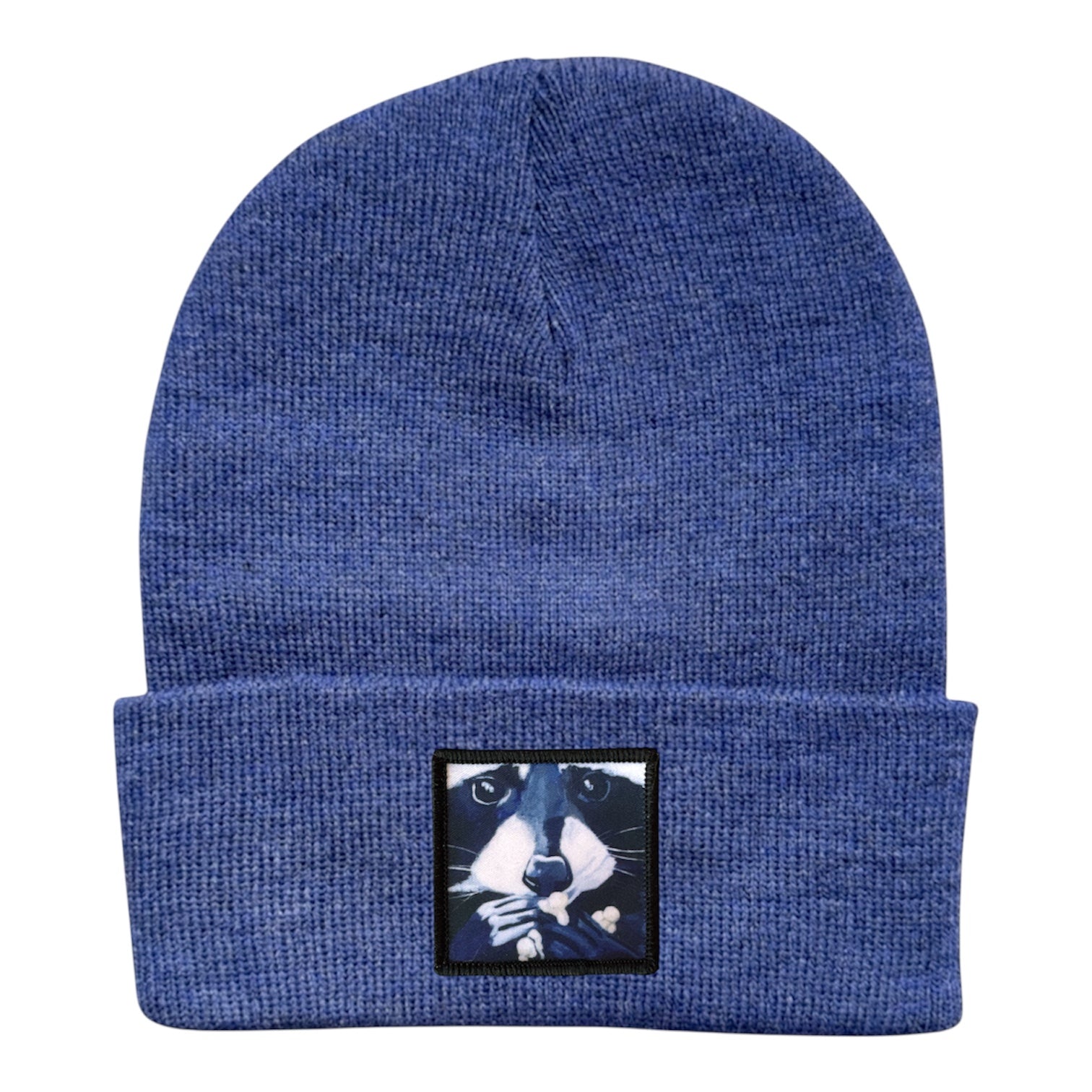 Raccoon Pop Beanie – FLYNhats