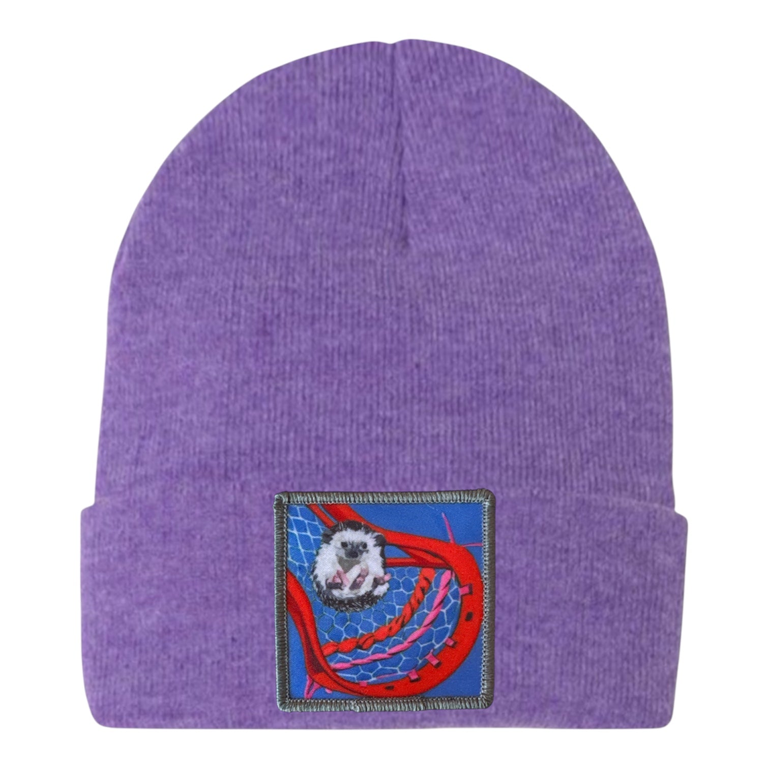 Ball Hog Beanie Hats FlynHats