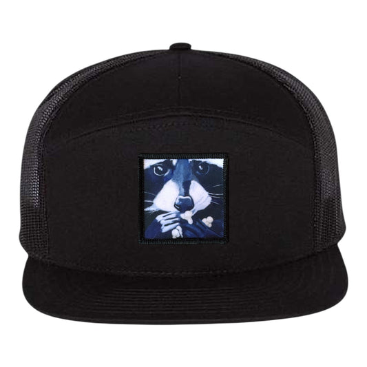 Raccoon Pop Seven Panel Hat Hats FlynHats Black