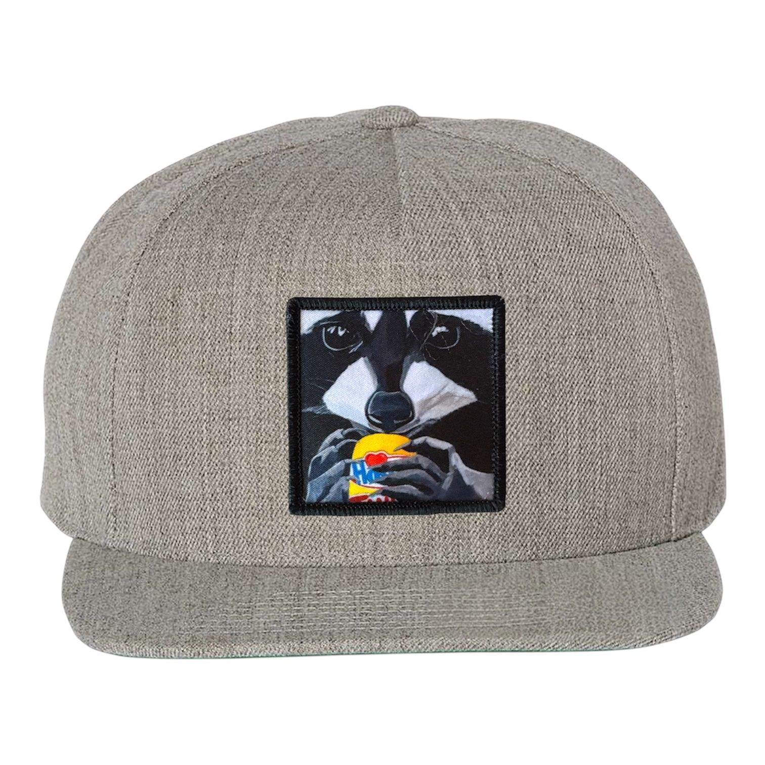Heather Grey Snapback Hats Flyn Costello The Snack Kid