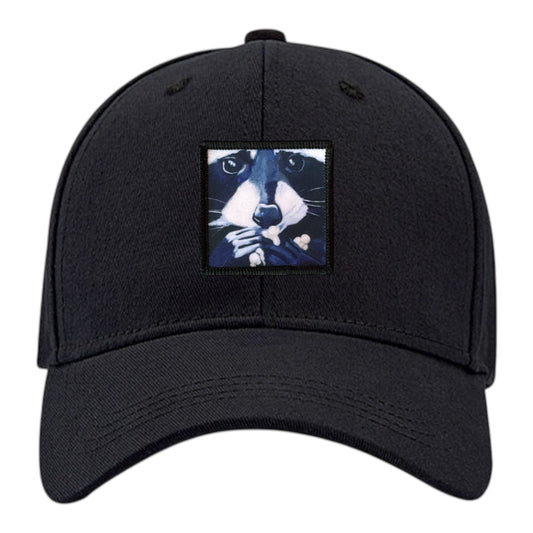 Raccoon Pop 6 Panel Baseball Cap Hats FlynHats Black