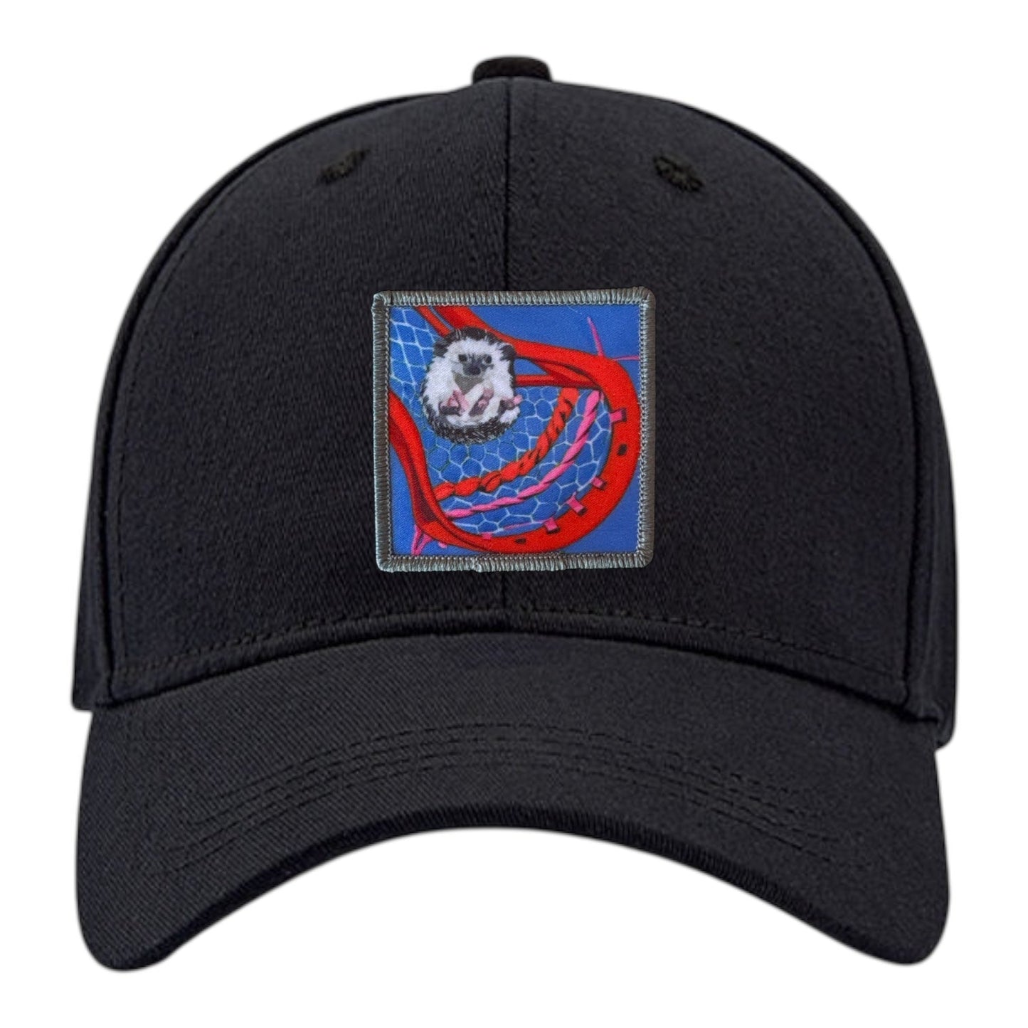 Ball Hog 6 Panel Baseball Cap Hats FlynHats Black